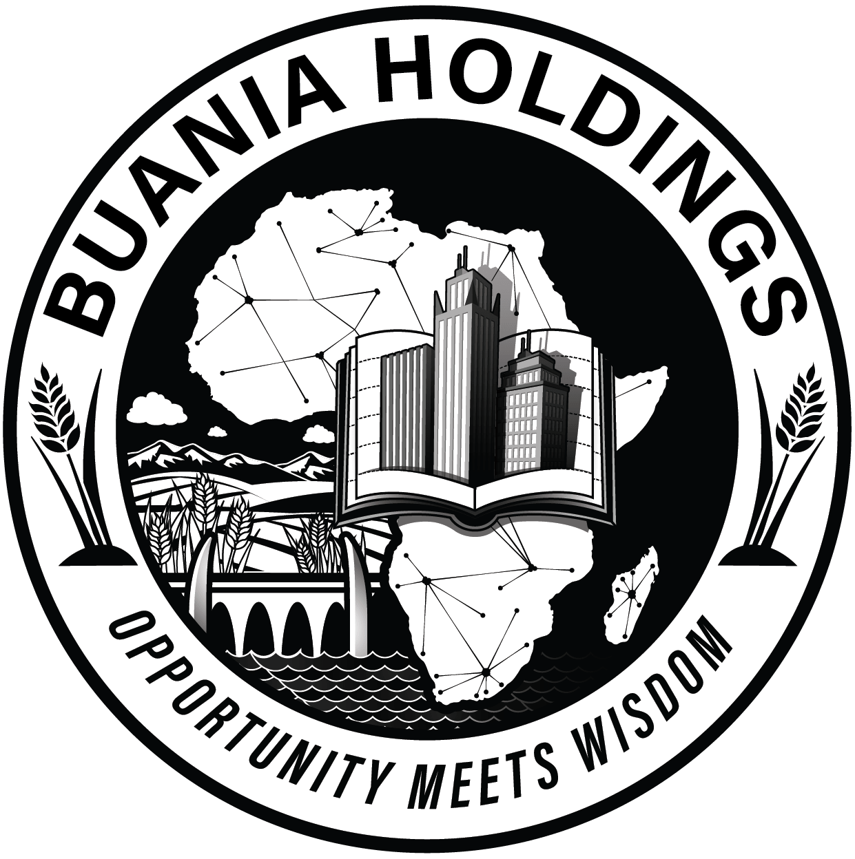 buania holdings