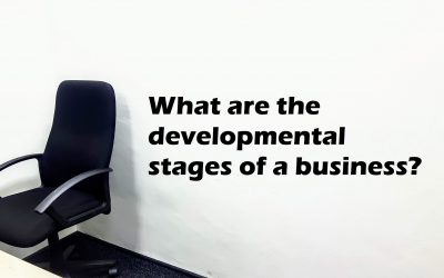 Developmental stages of a company
